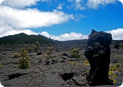 Chain of Craters Road (Volcanoes National Park, Island of Hawai'i)