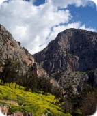 Moutains (Delphi, Greece)