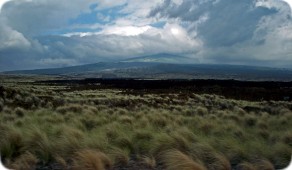 Desert Region (Kona, Island of Hawai'i)